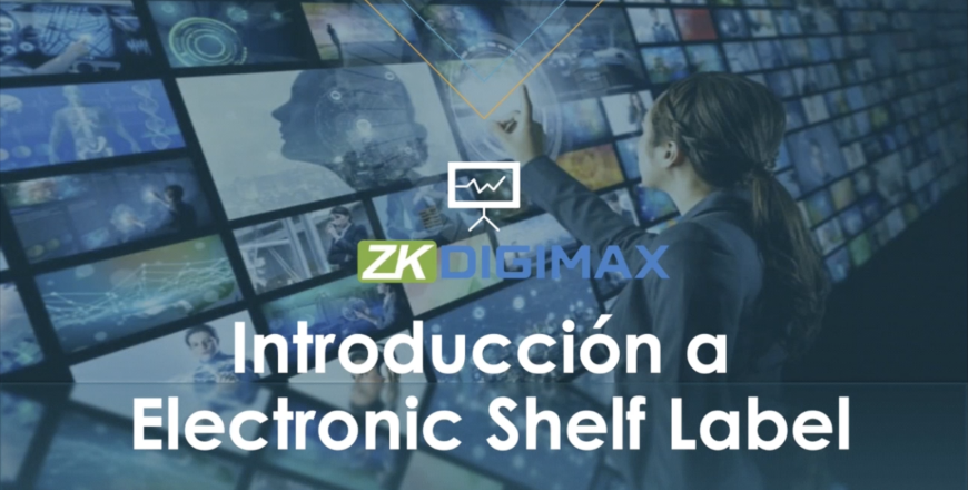 Introducción al Futuro de la Publicidad ZKDigimax